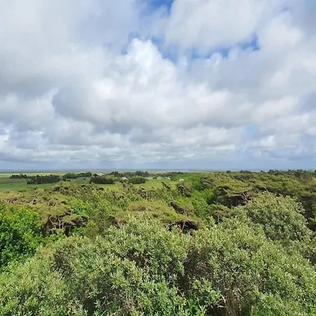 Luxury Retreat In - By Traum *