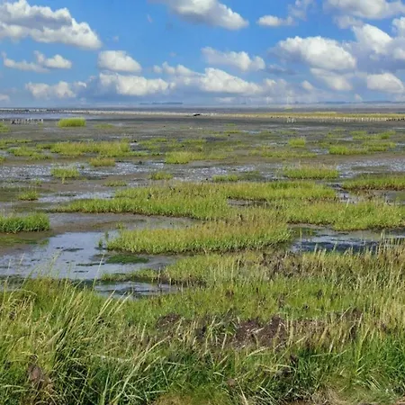 Luxury Retreat In - By Traum Holiday home *