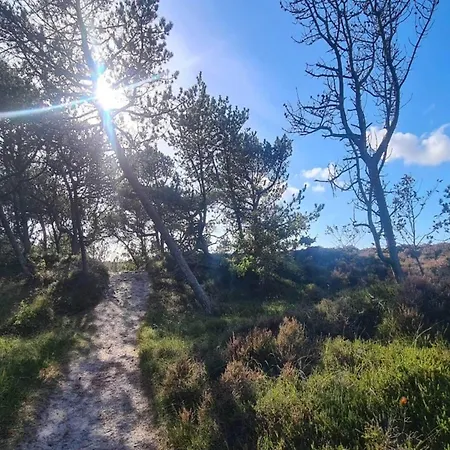 Luxury Retreat In - By Traum Holiday home *