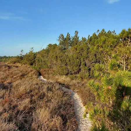 Дом отдыха Luxury Retreat In - By Traum