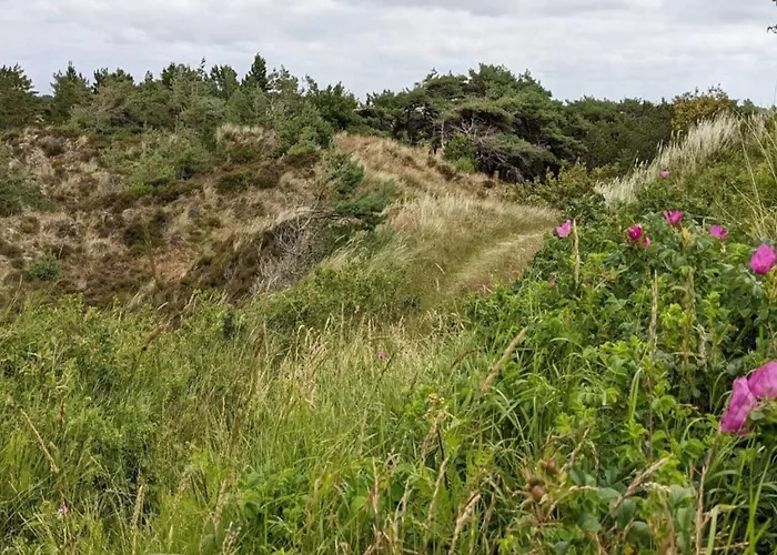 Luxury Retreat In - By Traum *