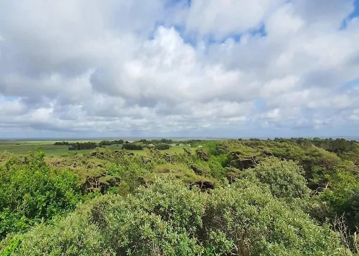 Luxury Retreat In - By Traum *