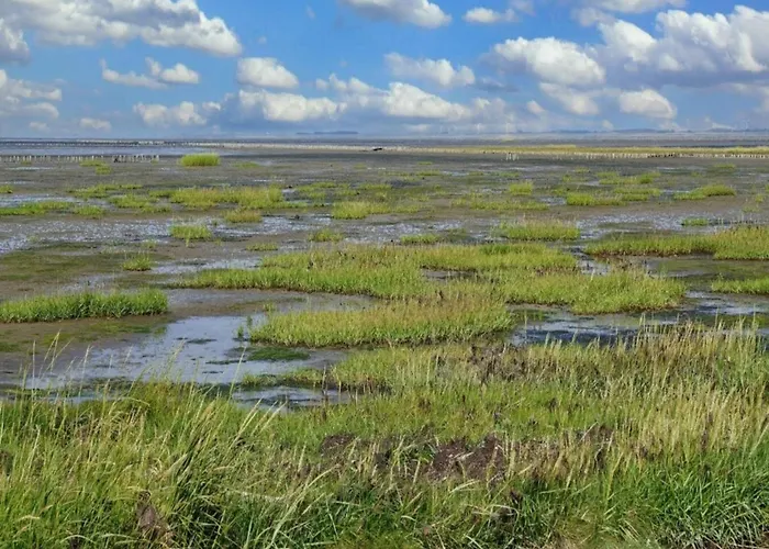 Luxury Retreat In - By Traum Дом отдыха *