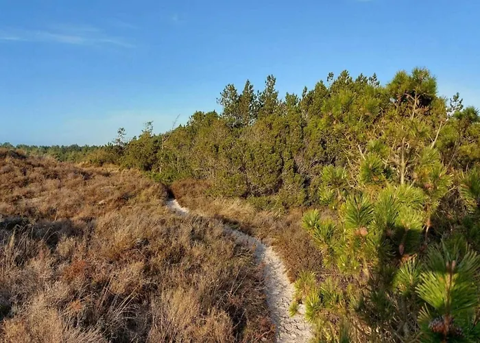 Feriehus Luxury Retreat In - By Traum